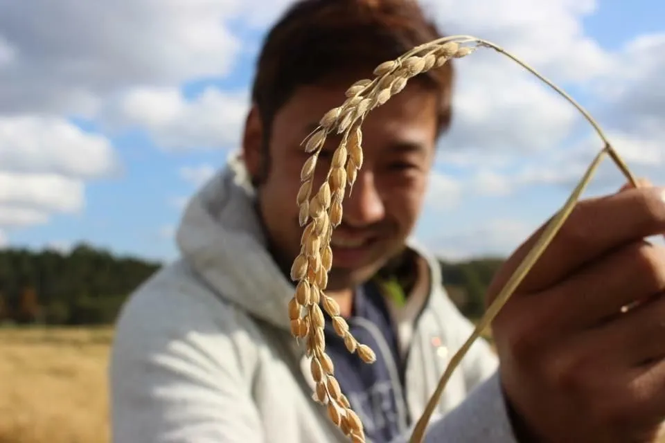 収穫した稲穂を手にする代表